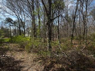Vl Lambert Avenue Property Photo 2