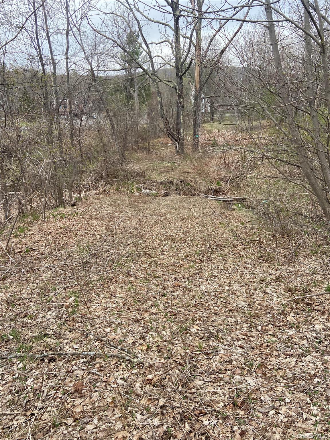 5232 Route 23a Property Photo 3