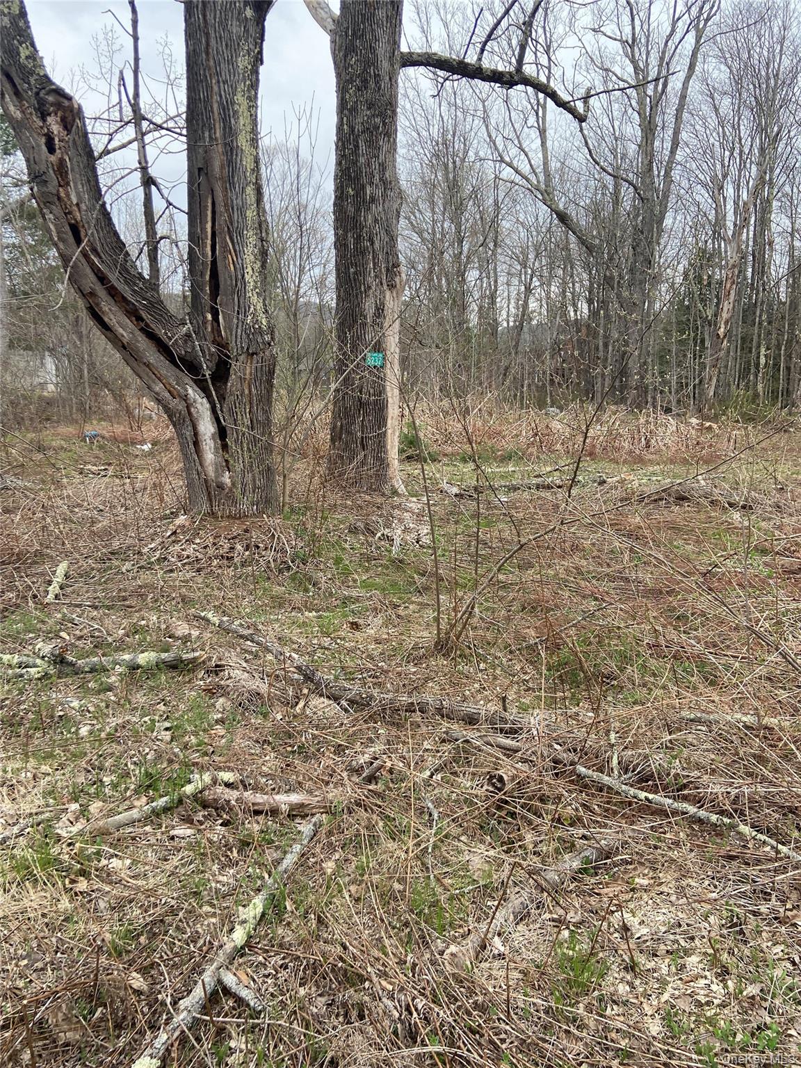 5232 Route 23a Property Photo 5