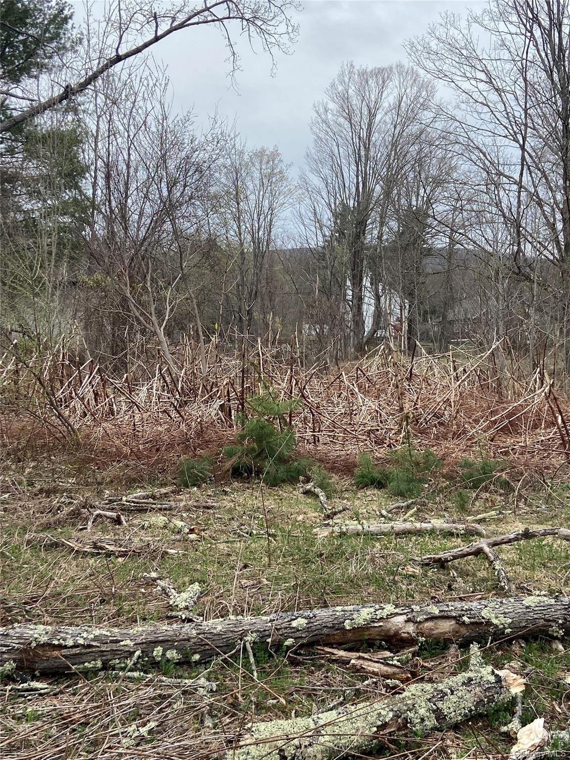 5232 Route 23a Property Photo 6