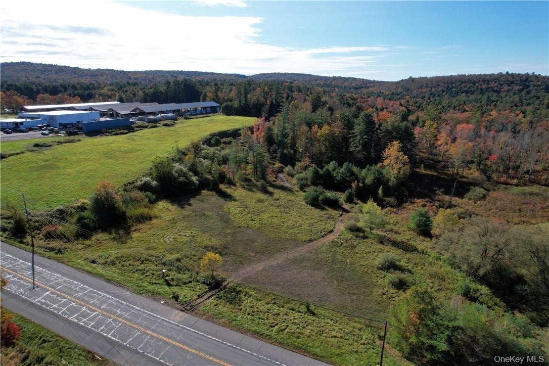 #tbd Nys Route 17b Property Photo 2