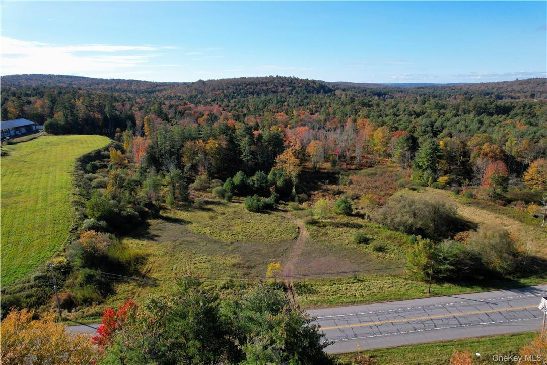 #tbd Nys Route 17b Property Photo 3