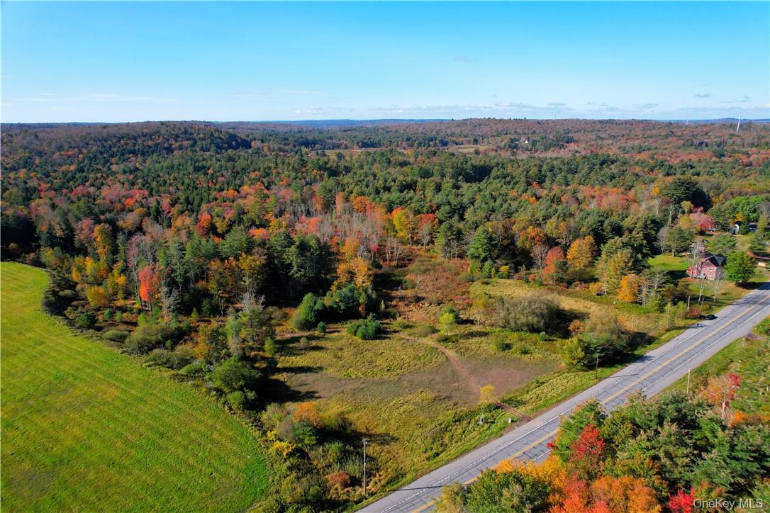 #tbd Nys Route 17b Property Photo 4