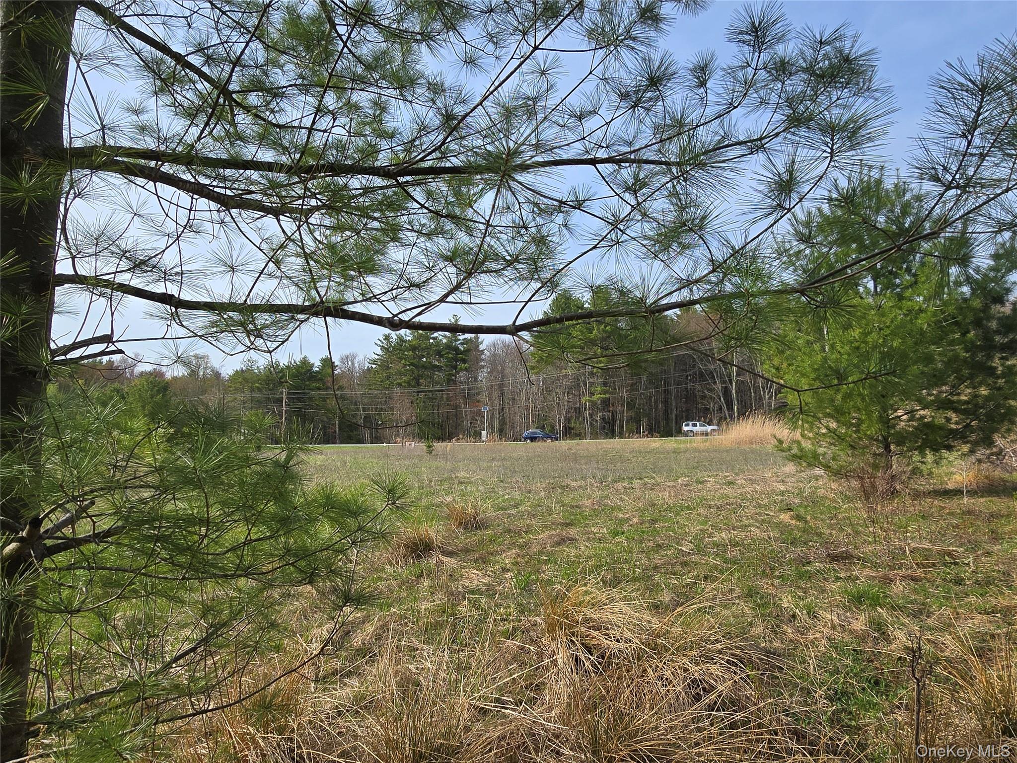 #tbd Nys Route 17b Property Photo 8