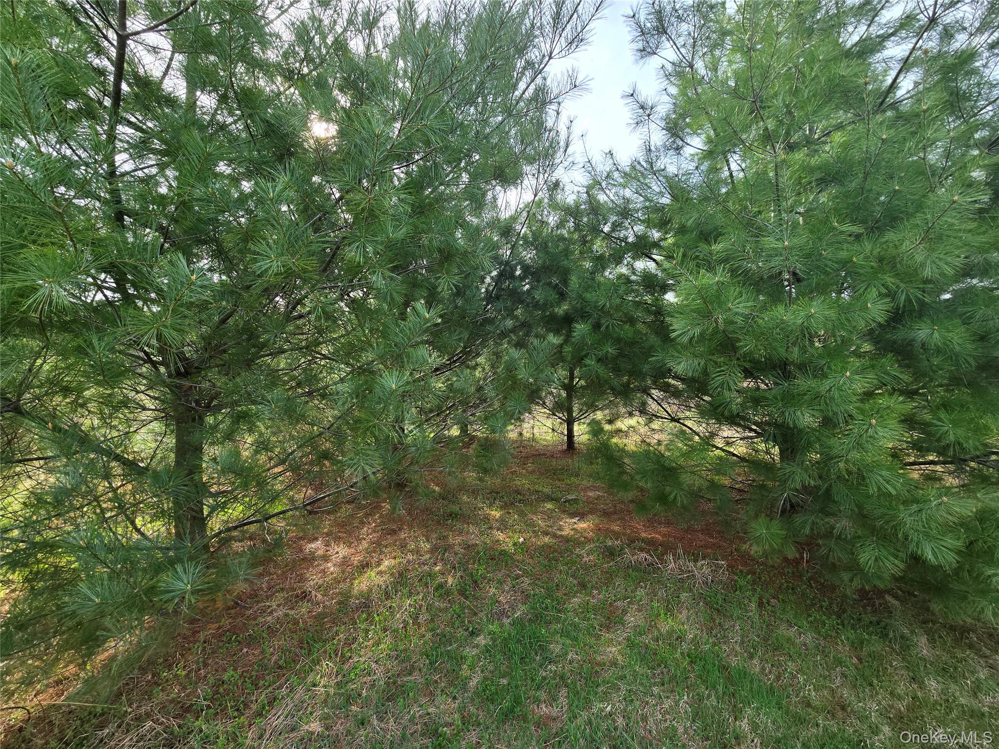 #tbd Nys Route 17b Property Photo 9
