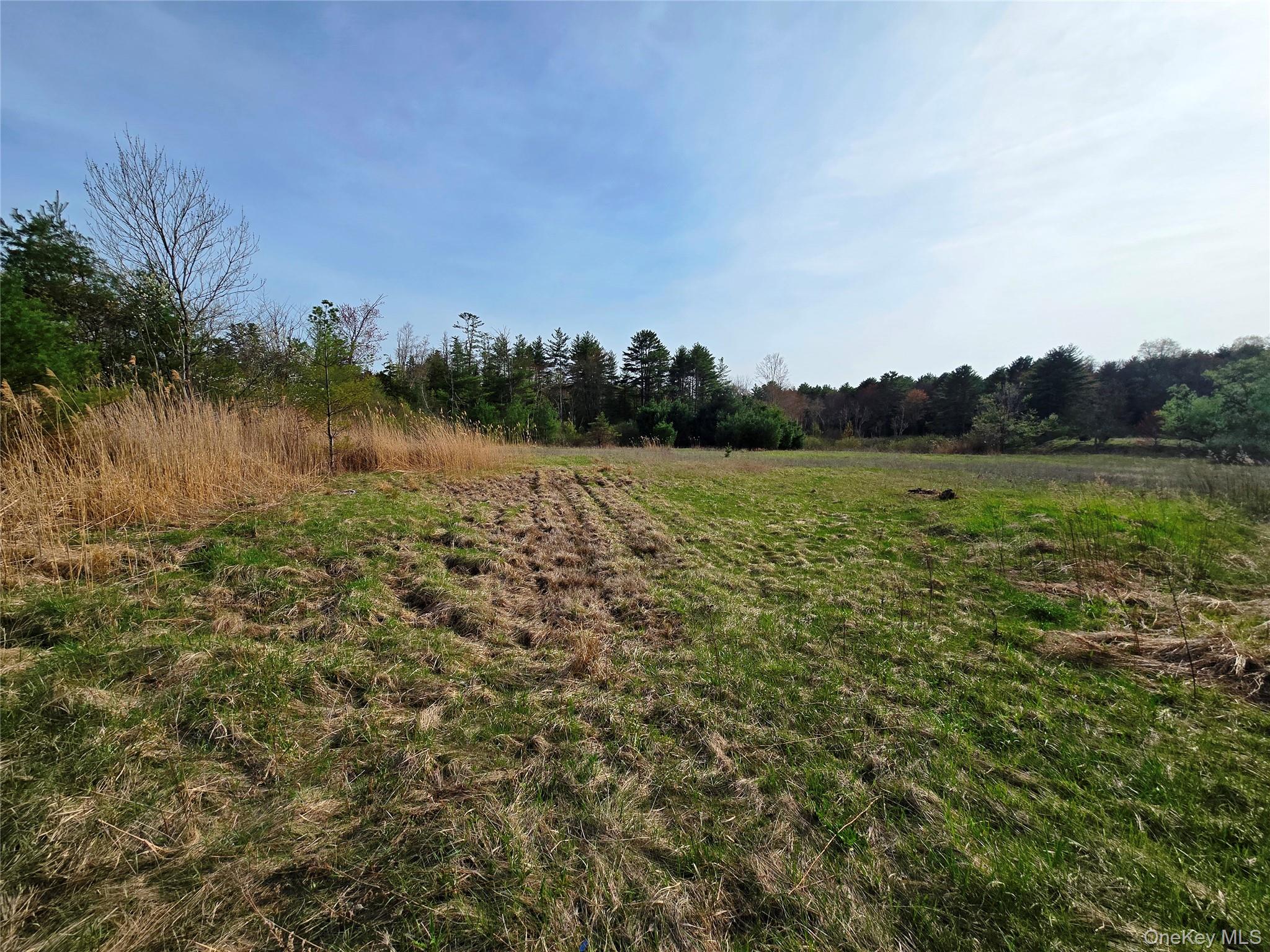 #tbd Nys Route 17b Property Photo 10