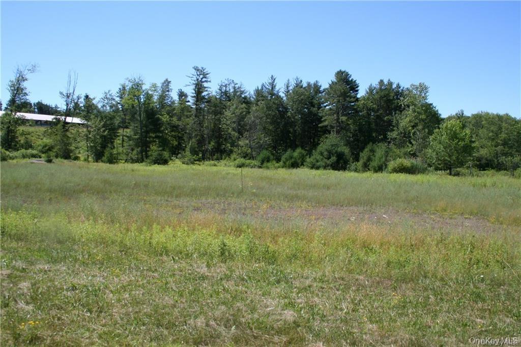 #tbd Nys Route 17b Property Photo 16