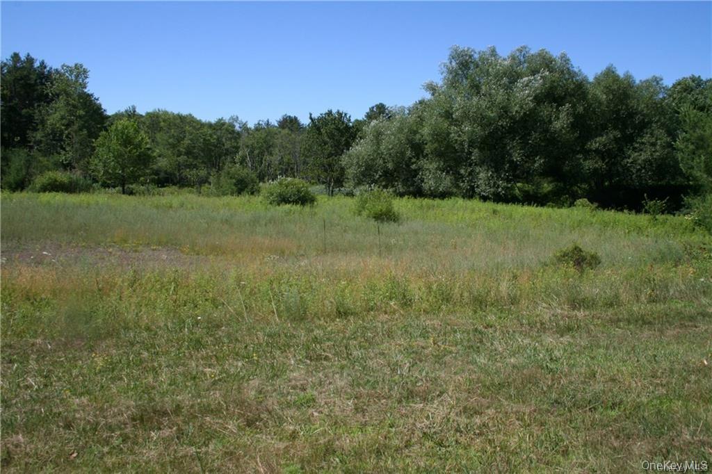 #tbd Nys Route 17b Property Photo 17