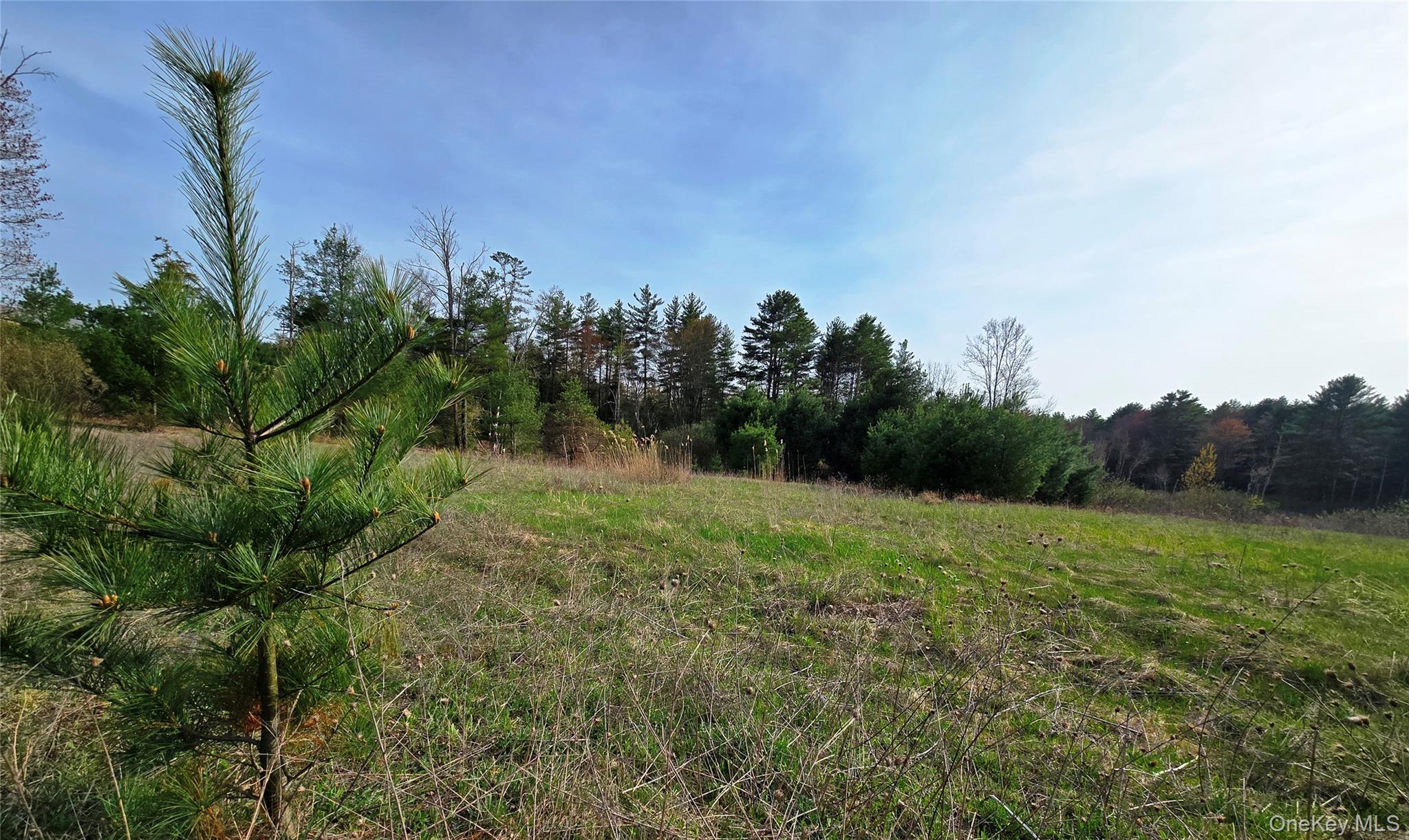 #tbd Nys Route 17b Property Photo 21