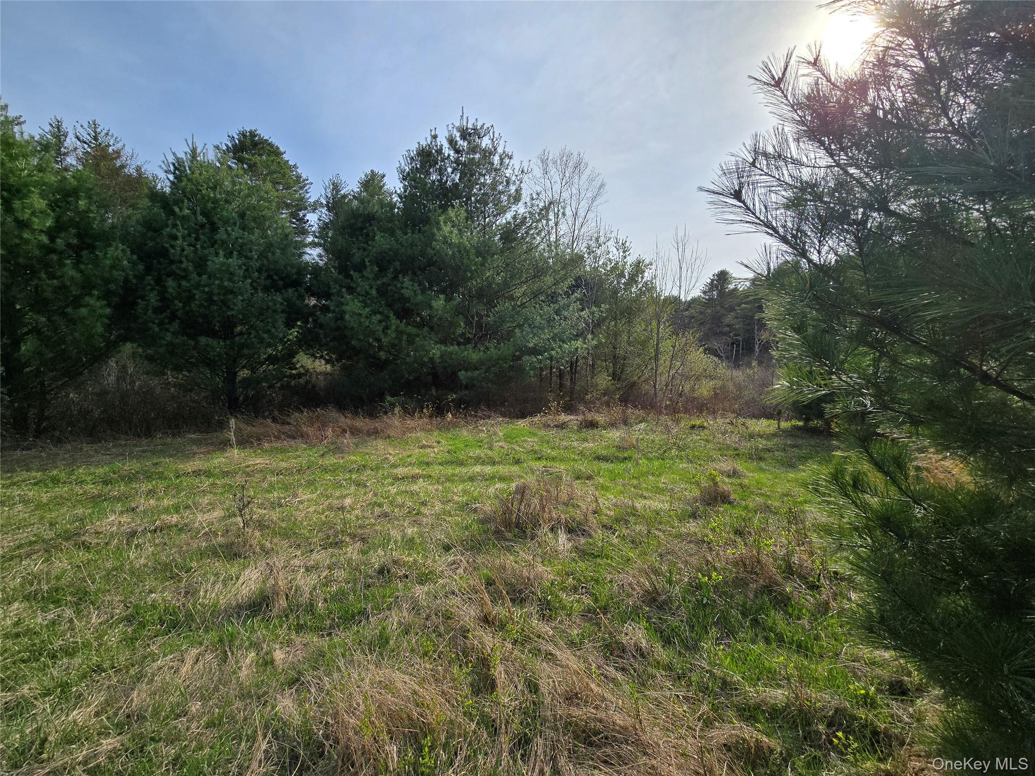 #tbd Nys Route 17b Property Photo 22