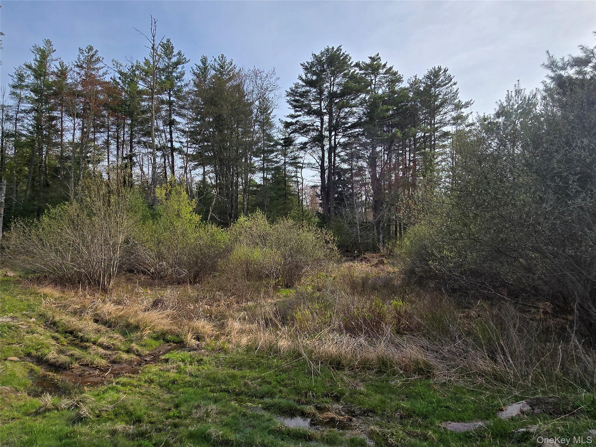 #tbd Nys Route 17b Property Photo 23