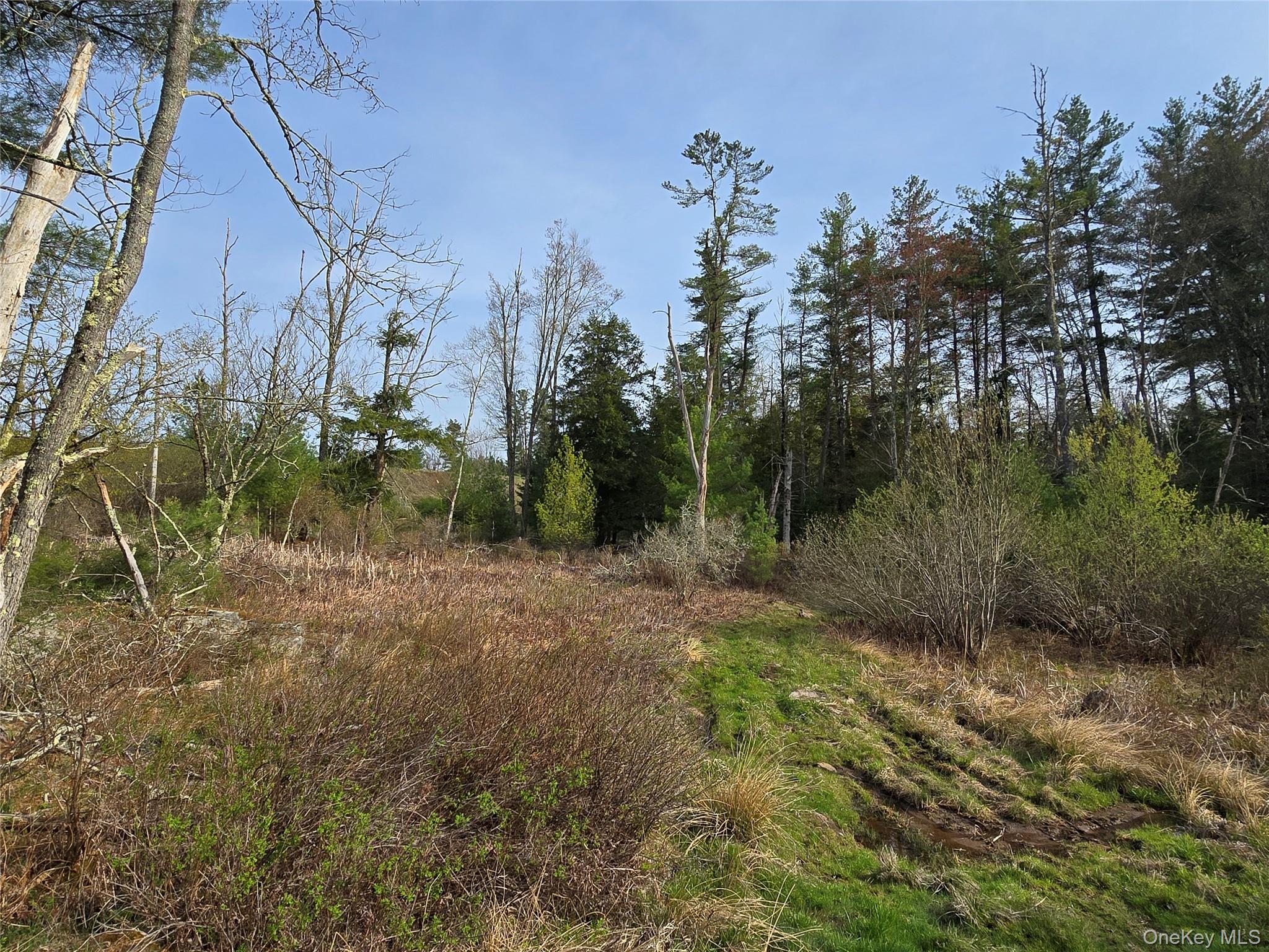 #tbd Nys Route 17b Property Photo 24