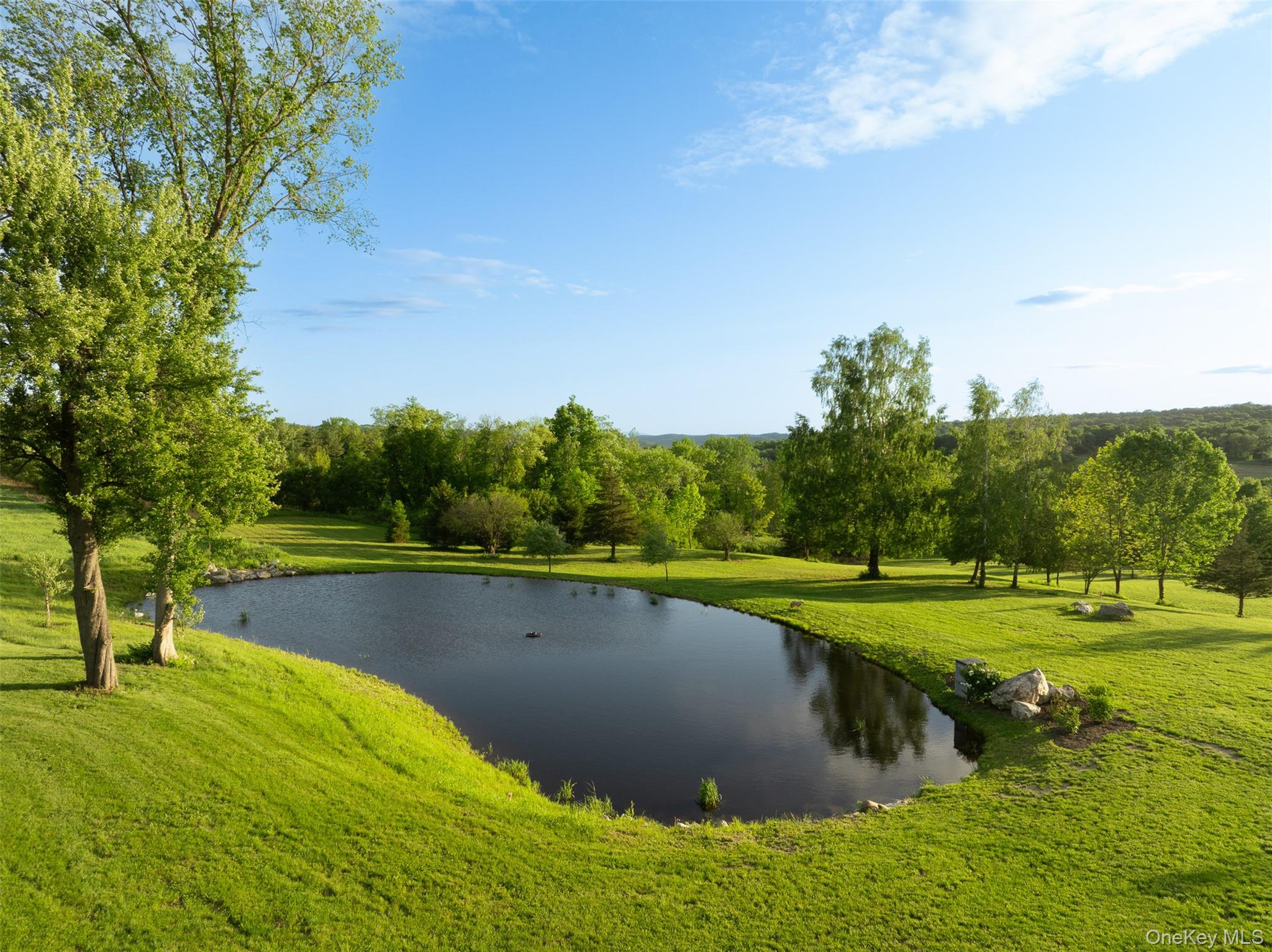 3585 Route 82 Property Photo 47