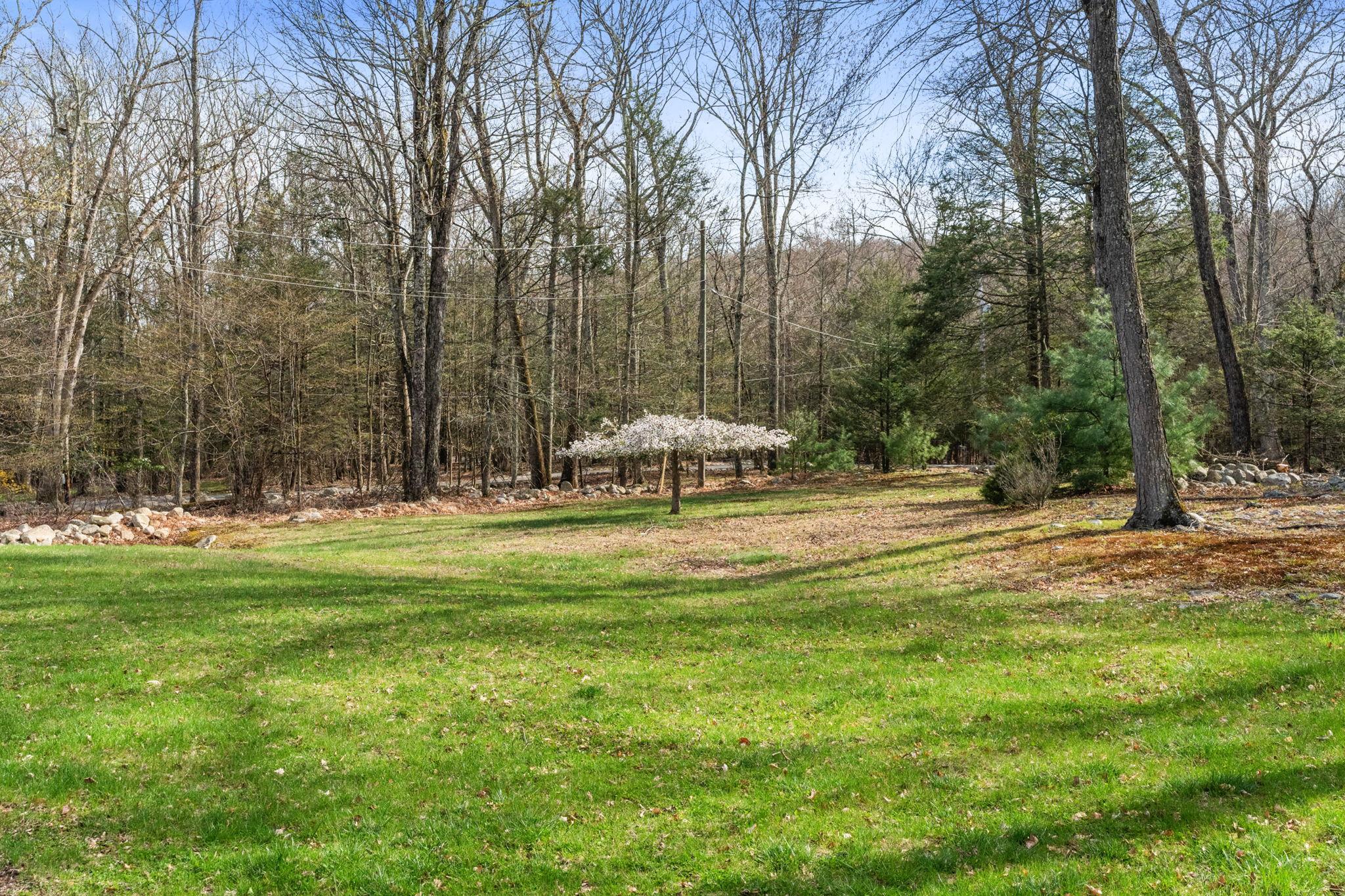 108 Wilkins Road Property Photo 19