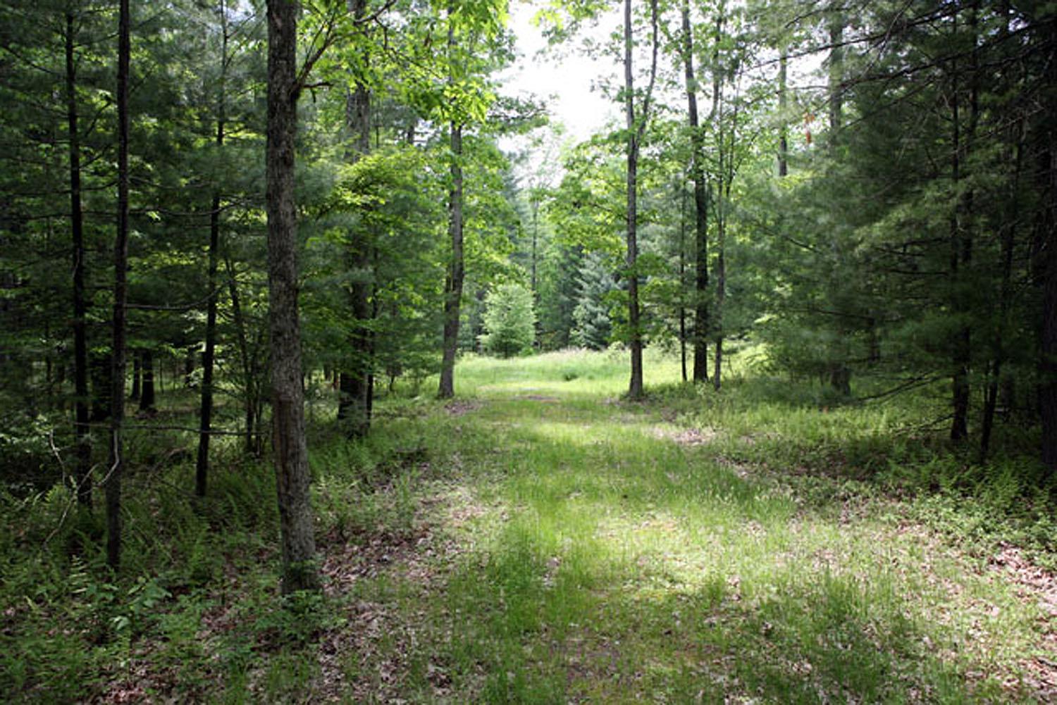 Lot 23 Serenity Drive Property Photo 1