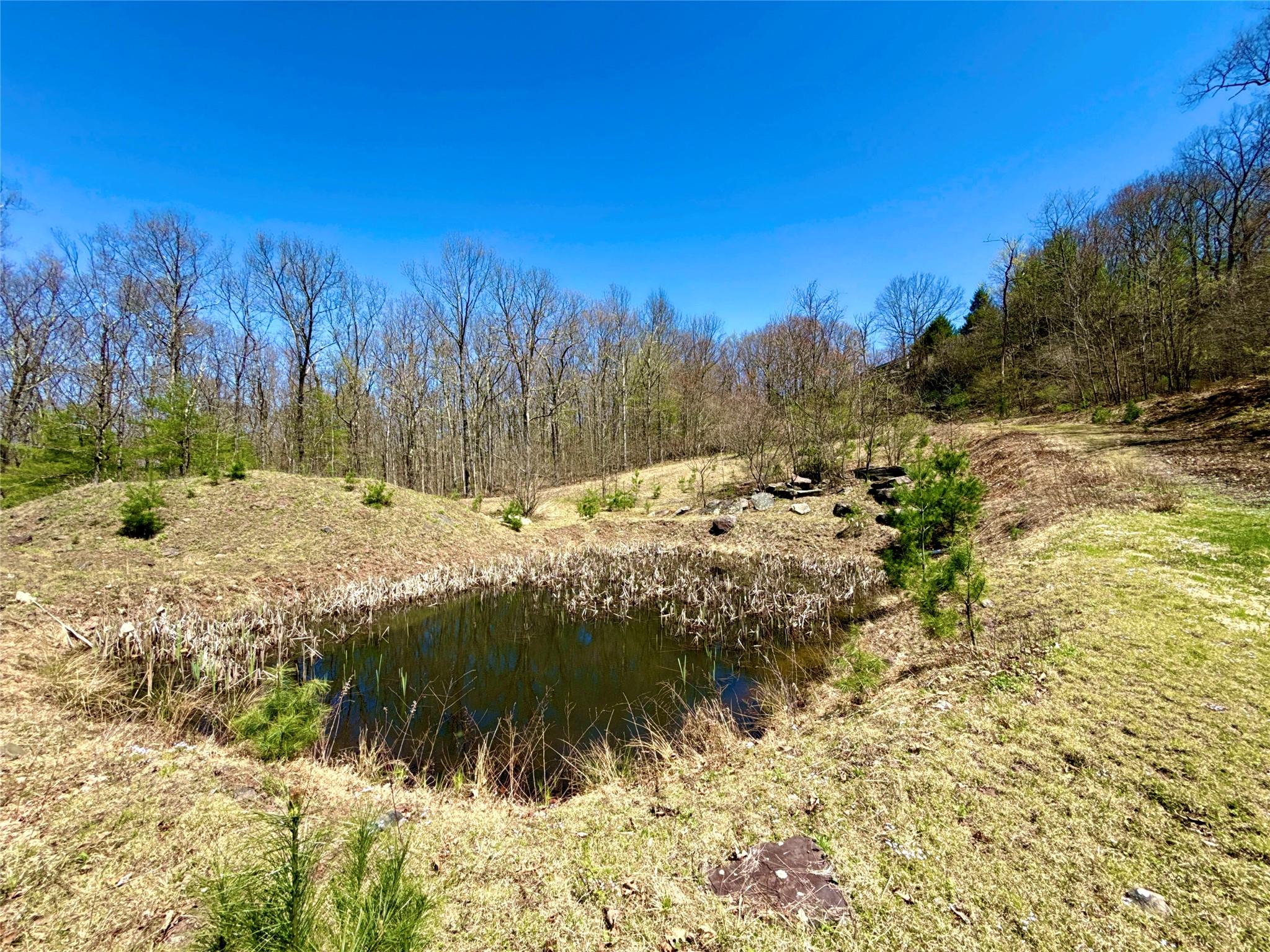 7737 State Route 97 Property Photo 33