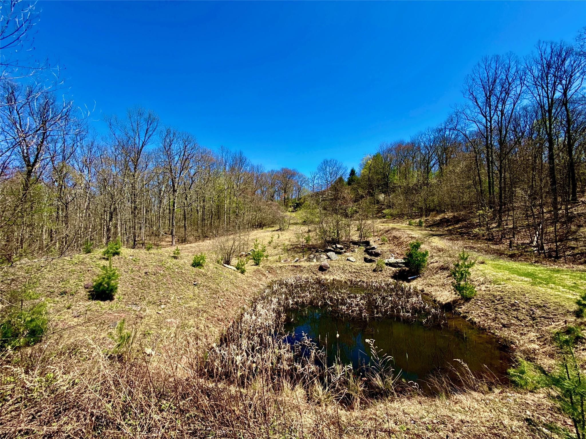 7737 State Route 97 Property Photo 34