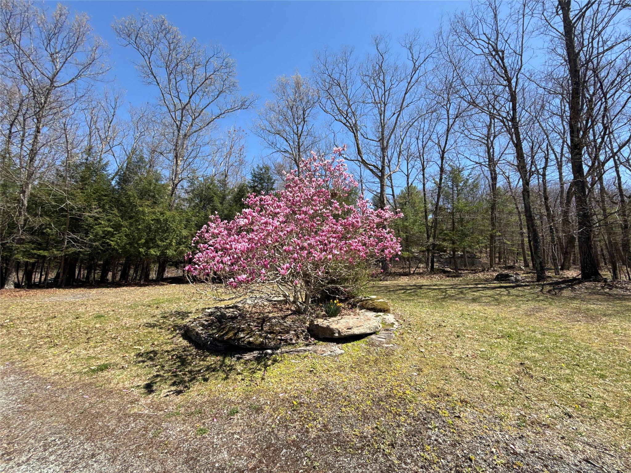 7737 State Route 97 Property Photo 39