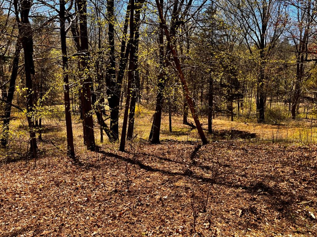 Tbd Cold Spring Road Property Photo 1