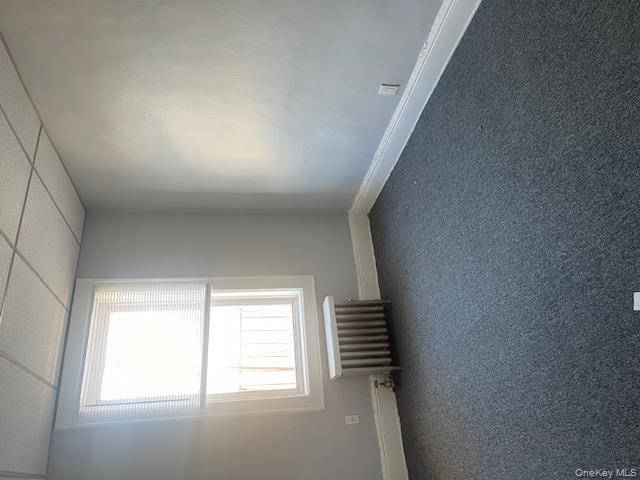 11213 Jamaica Avenue Property Photo 13