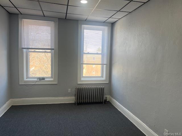 11213 Jamaica Avenue Property Photo 15