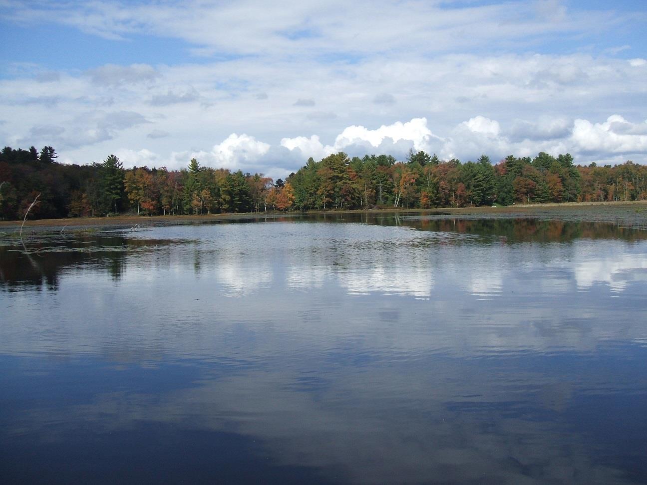 Rt-17b Property Photo 1