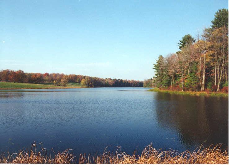 Rt-17b Property Photo 4