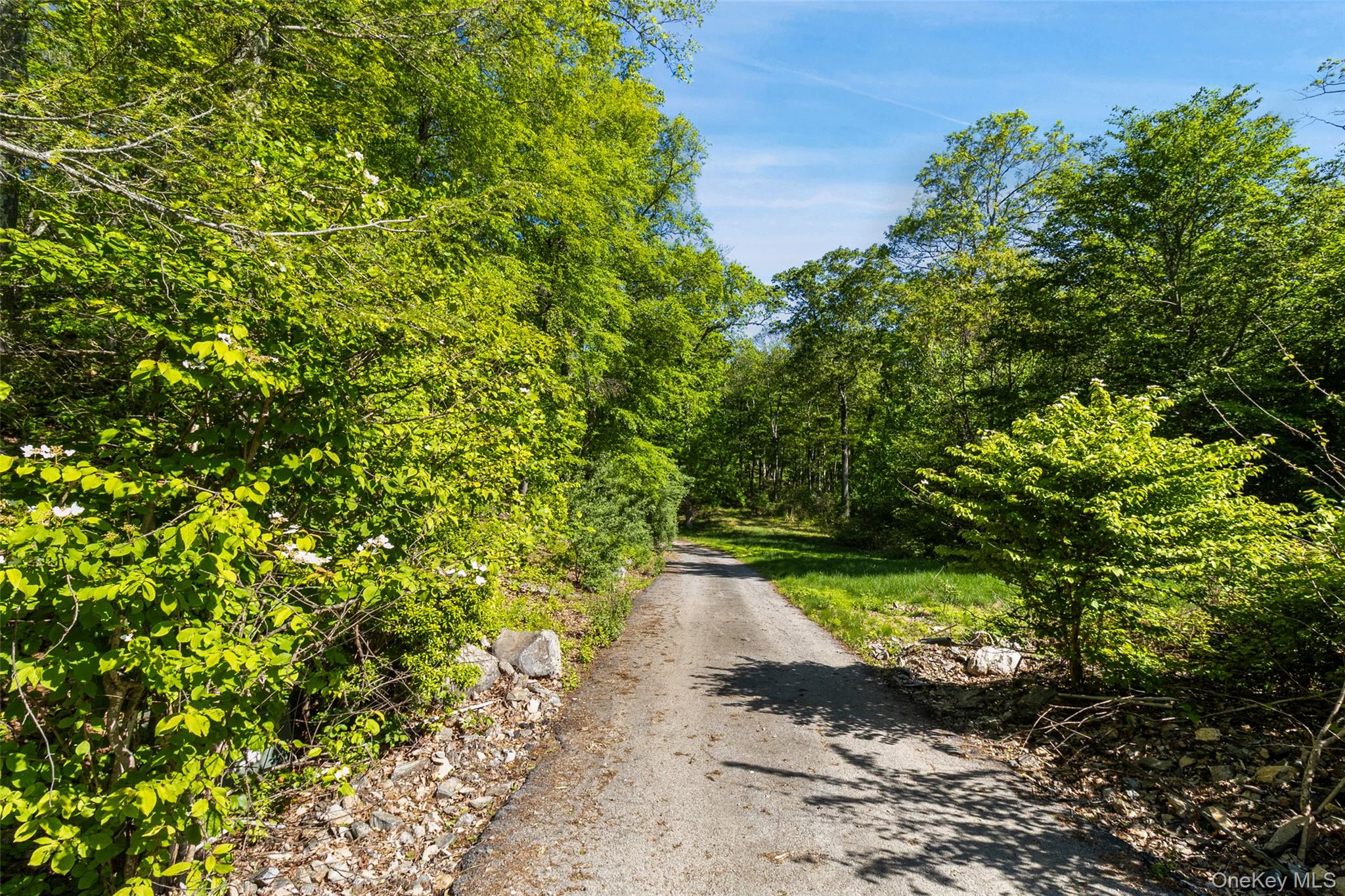 371-383 Pea Pond Road Property Photo 8