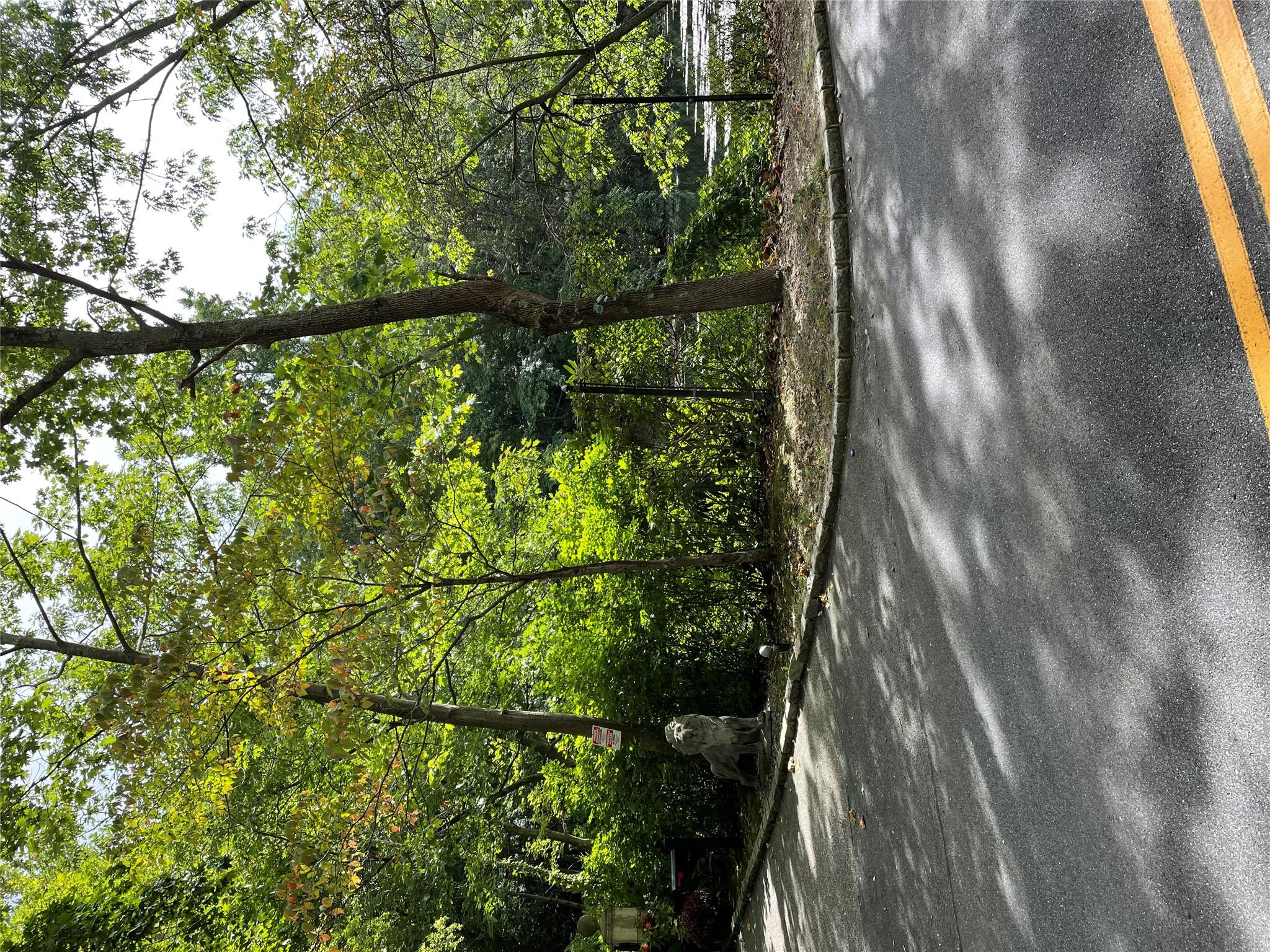 No Numer Cleft Road Property Photo 1