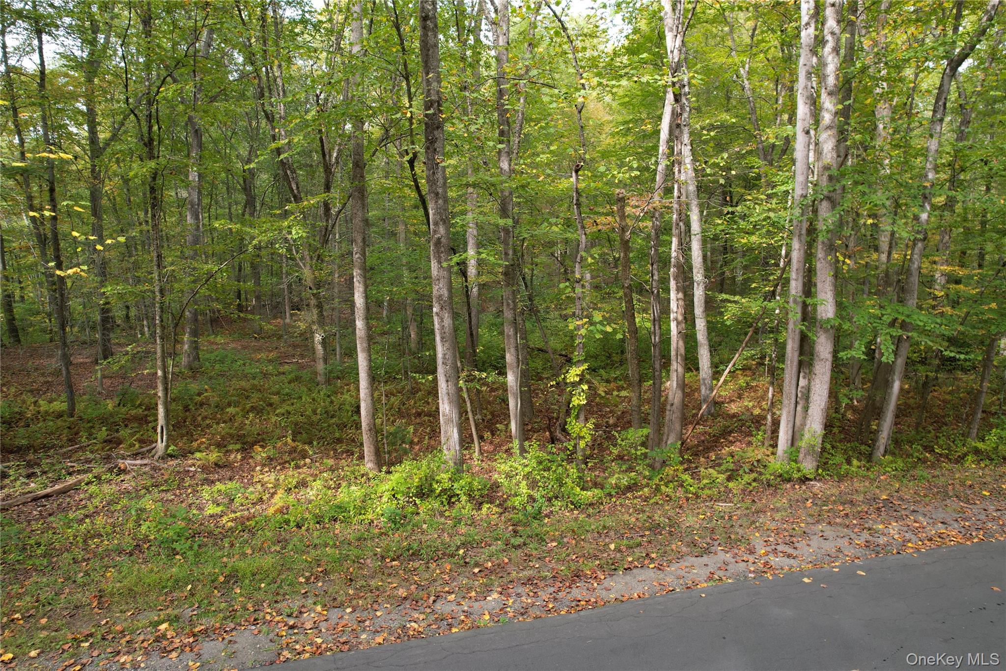 Brook Farm Road Property Photo 2