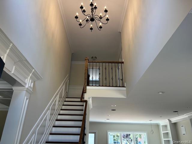 110b Louis Street Property Photo 3
