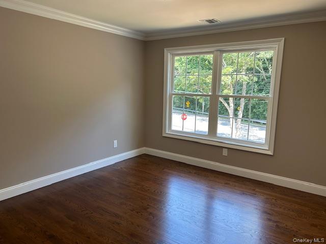 110b Louis Street Property Photo 12