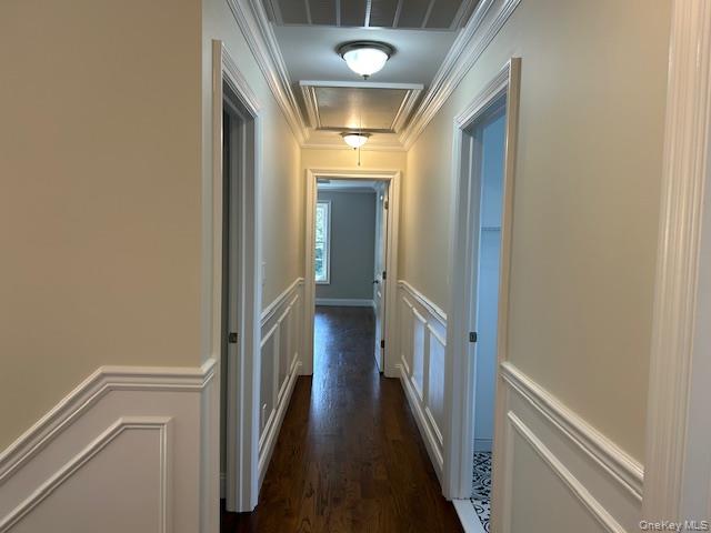 110b Louis Street Property Photo 13