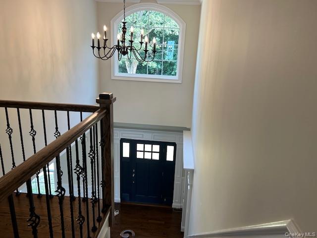 110b Louis Street Property Photo 14