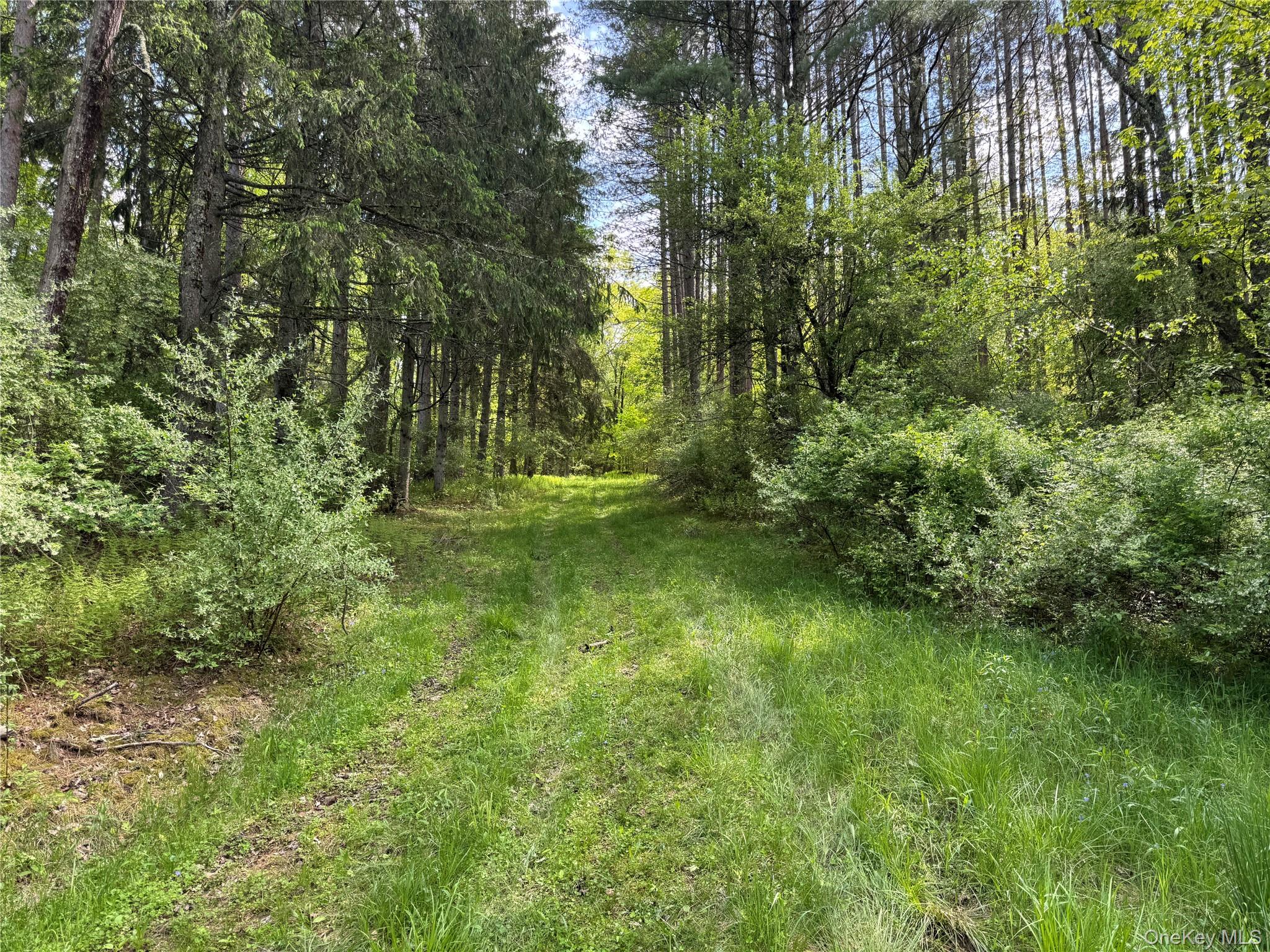 632 New Turnpike Road Property Photo 3