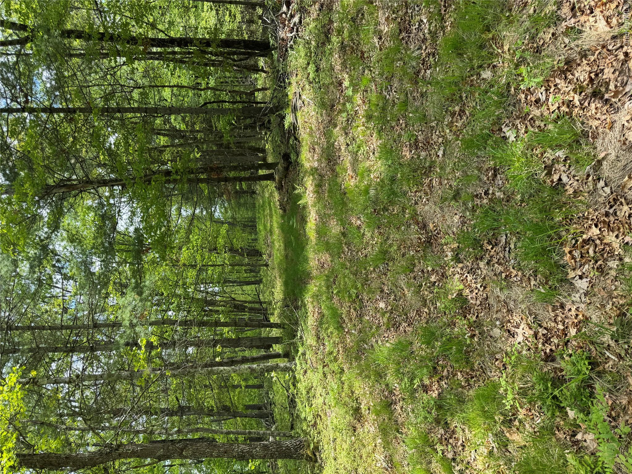 632 New Turnpike Road Property Photo 20