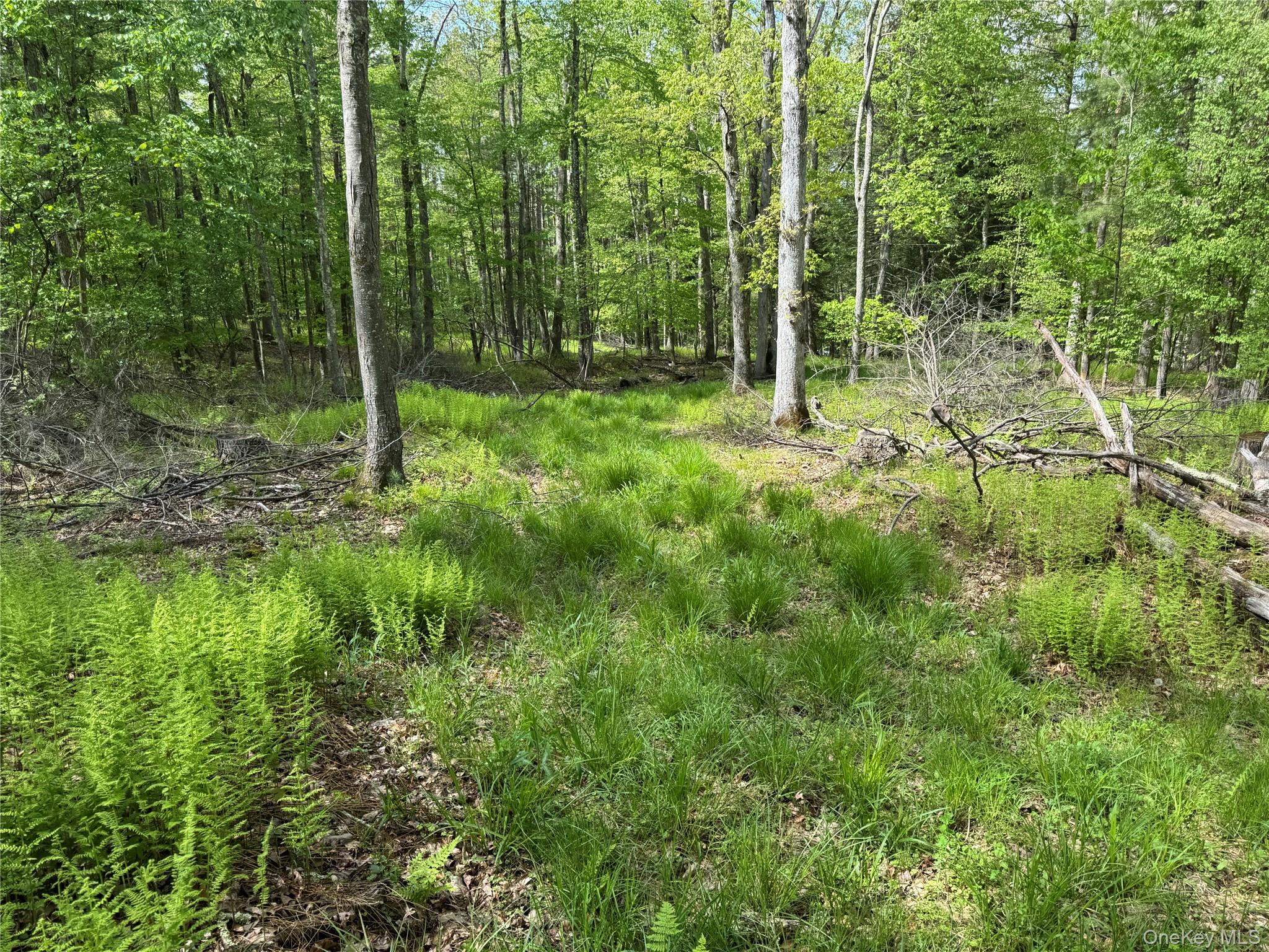 632 New Turnpike Road Property Photo 23