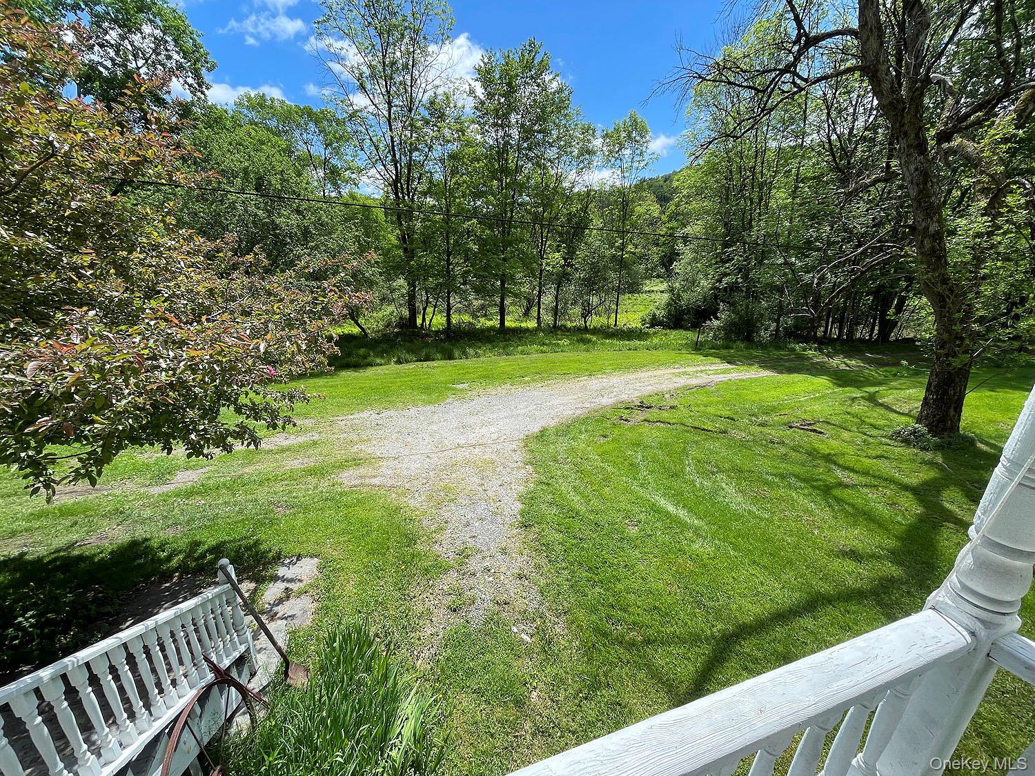 12 Henderson Road Property Photo 4