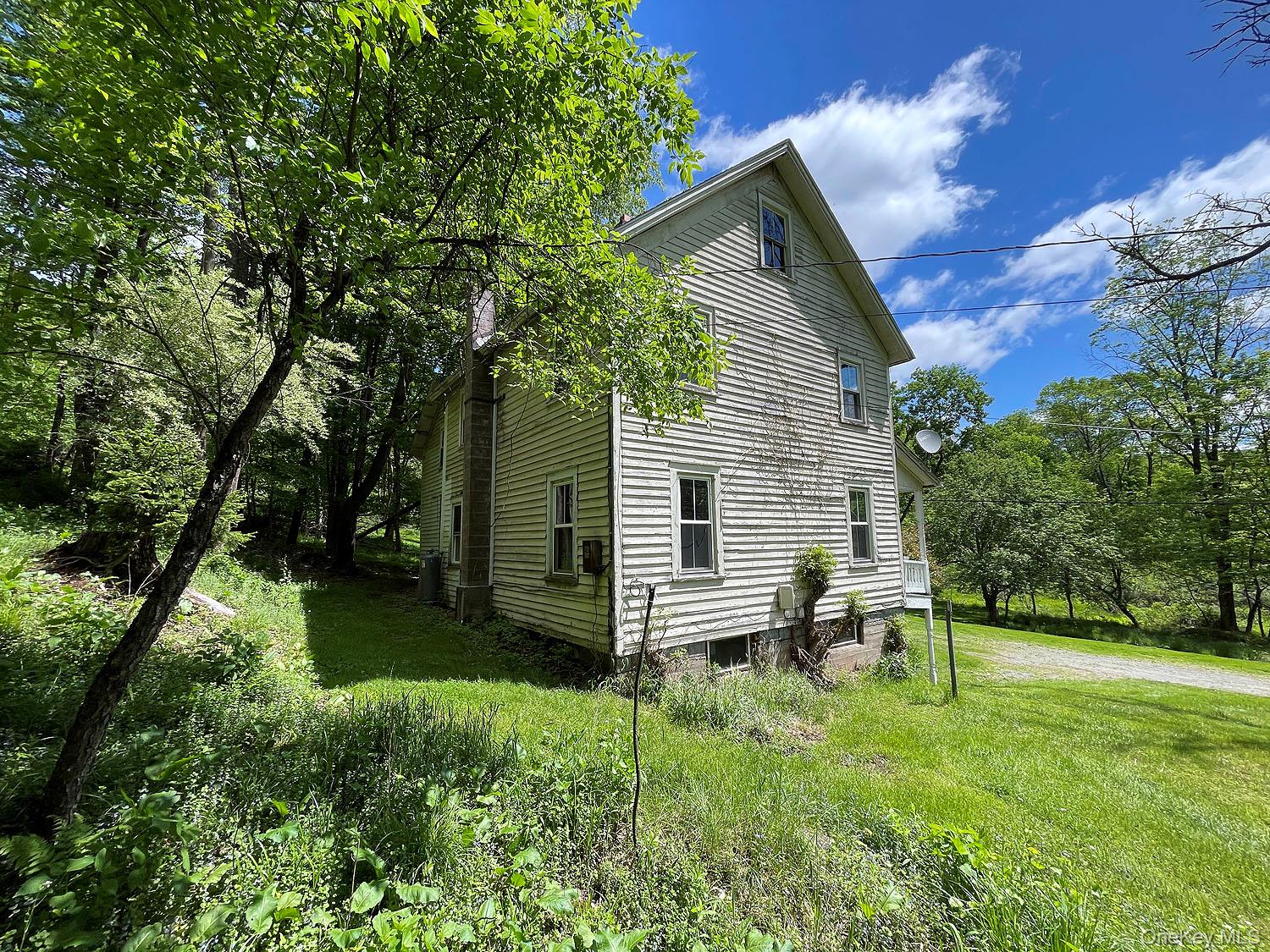 12 Henderson Road Property Photo 21