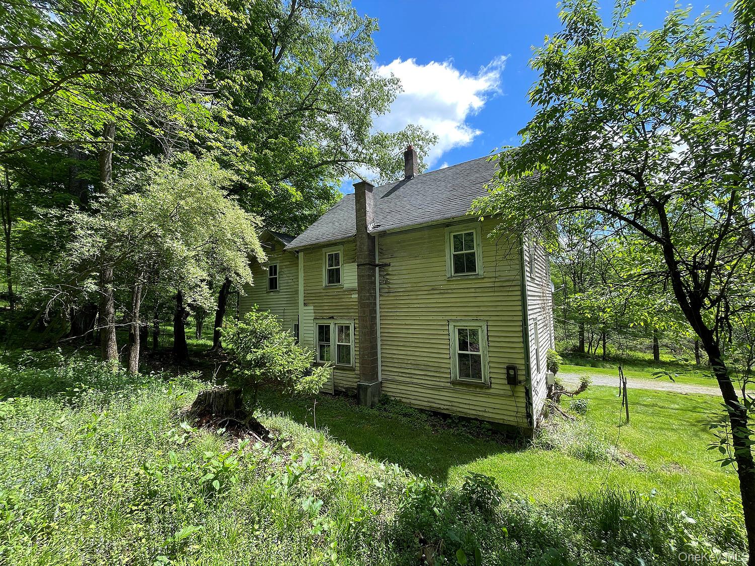12 Henderson Road Property Photo 22