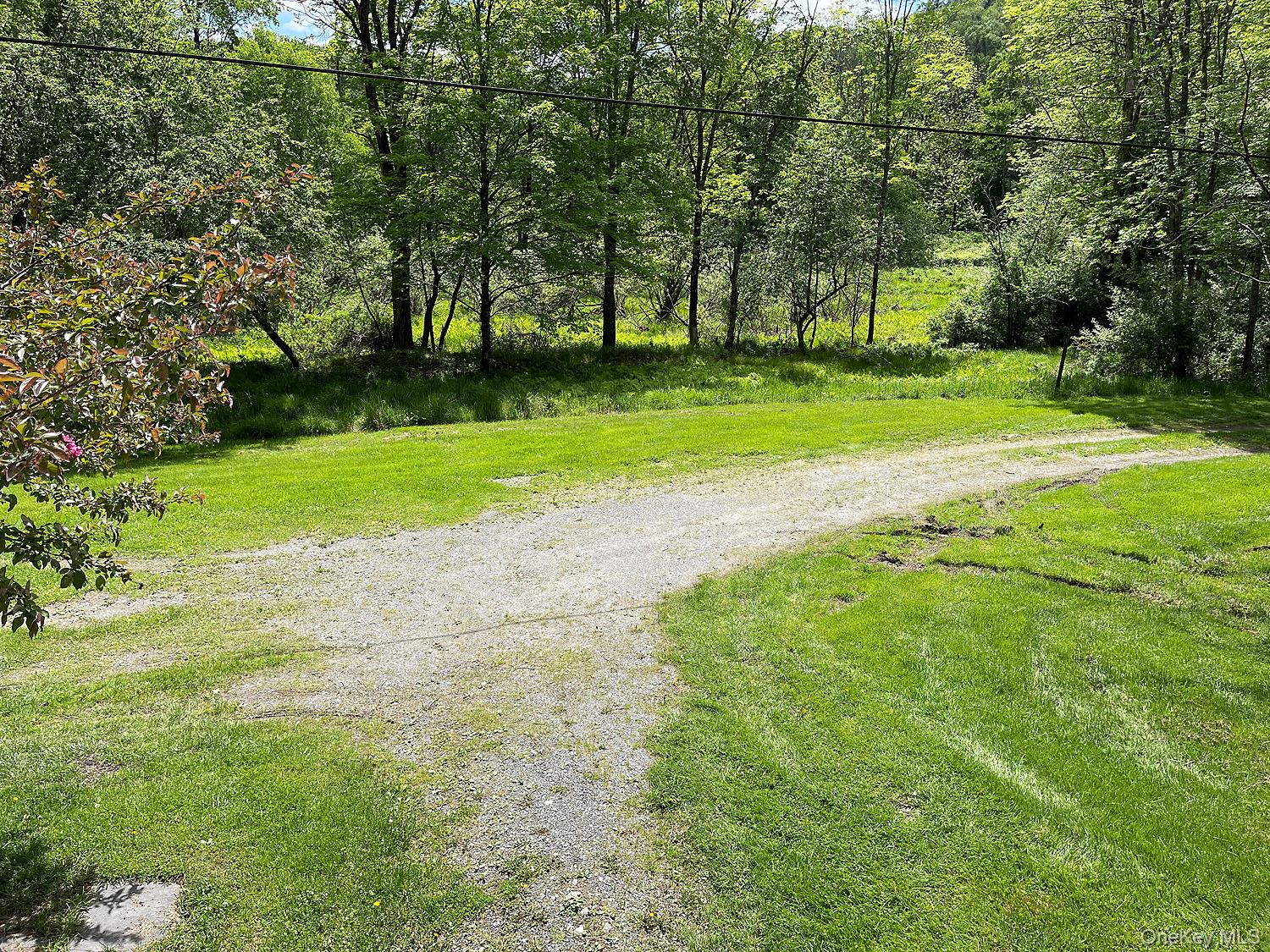12 Henderson Road Property Photo 23