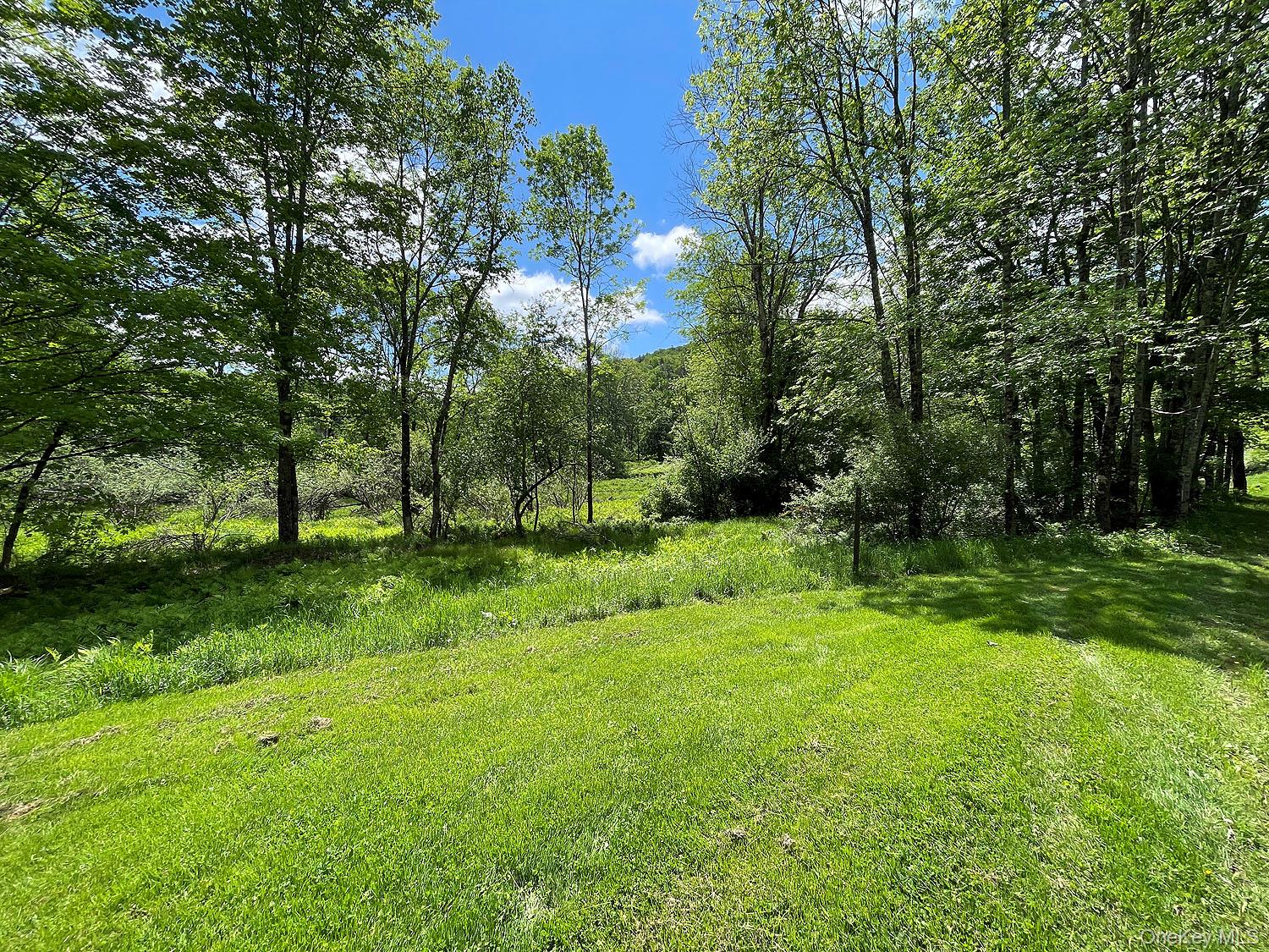 12 Henderson Road Property Photo 24