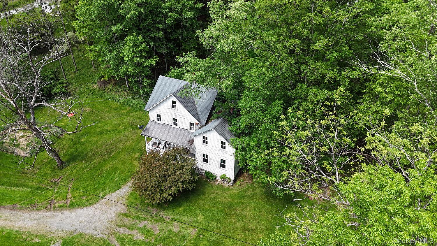 12 Henderson Road Property Photo 29