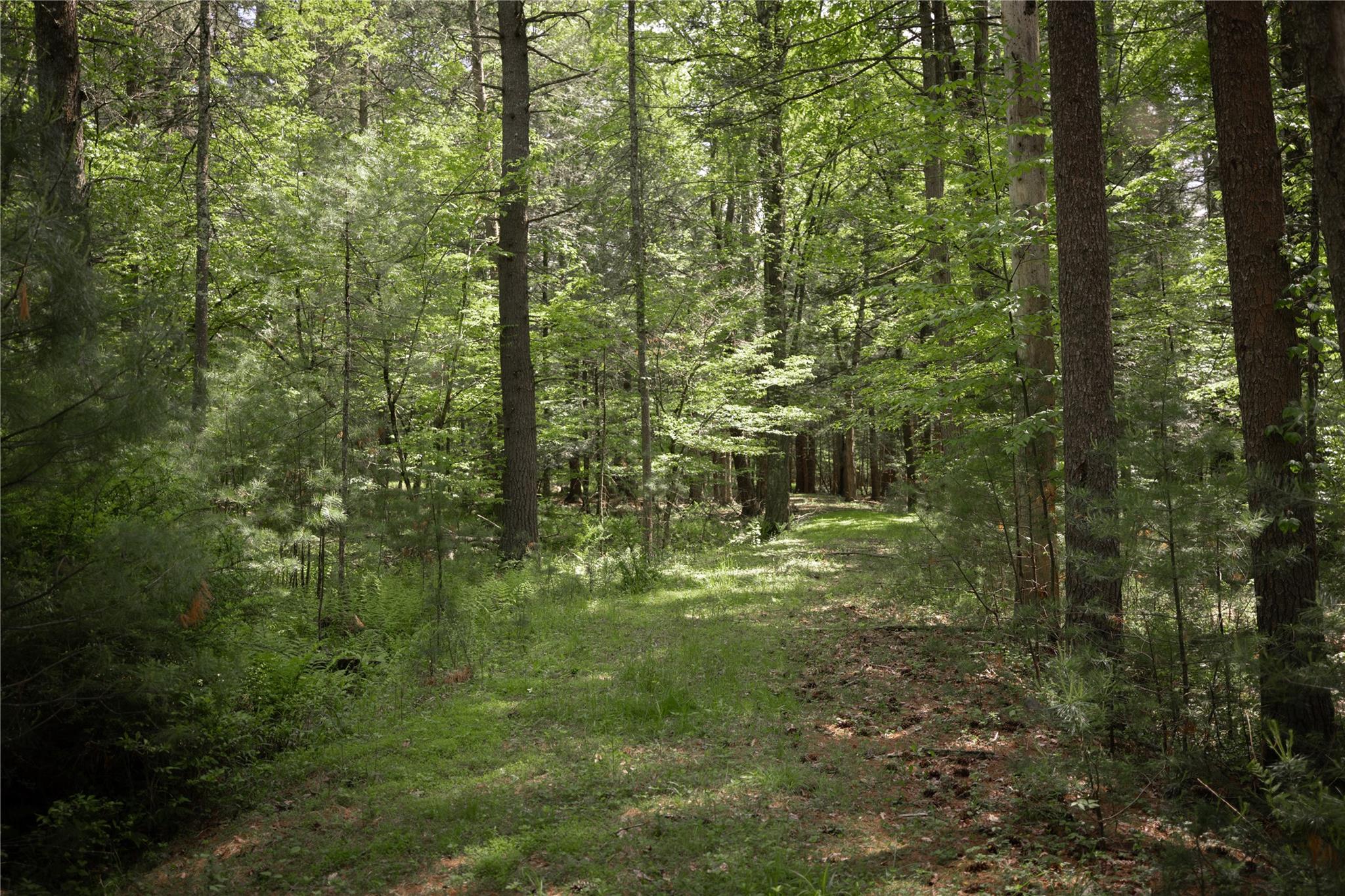 300 Mt Laurel Road Property Photo 8