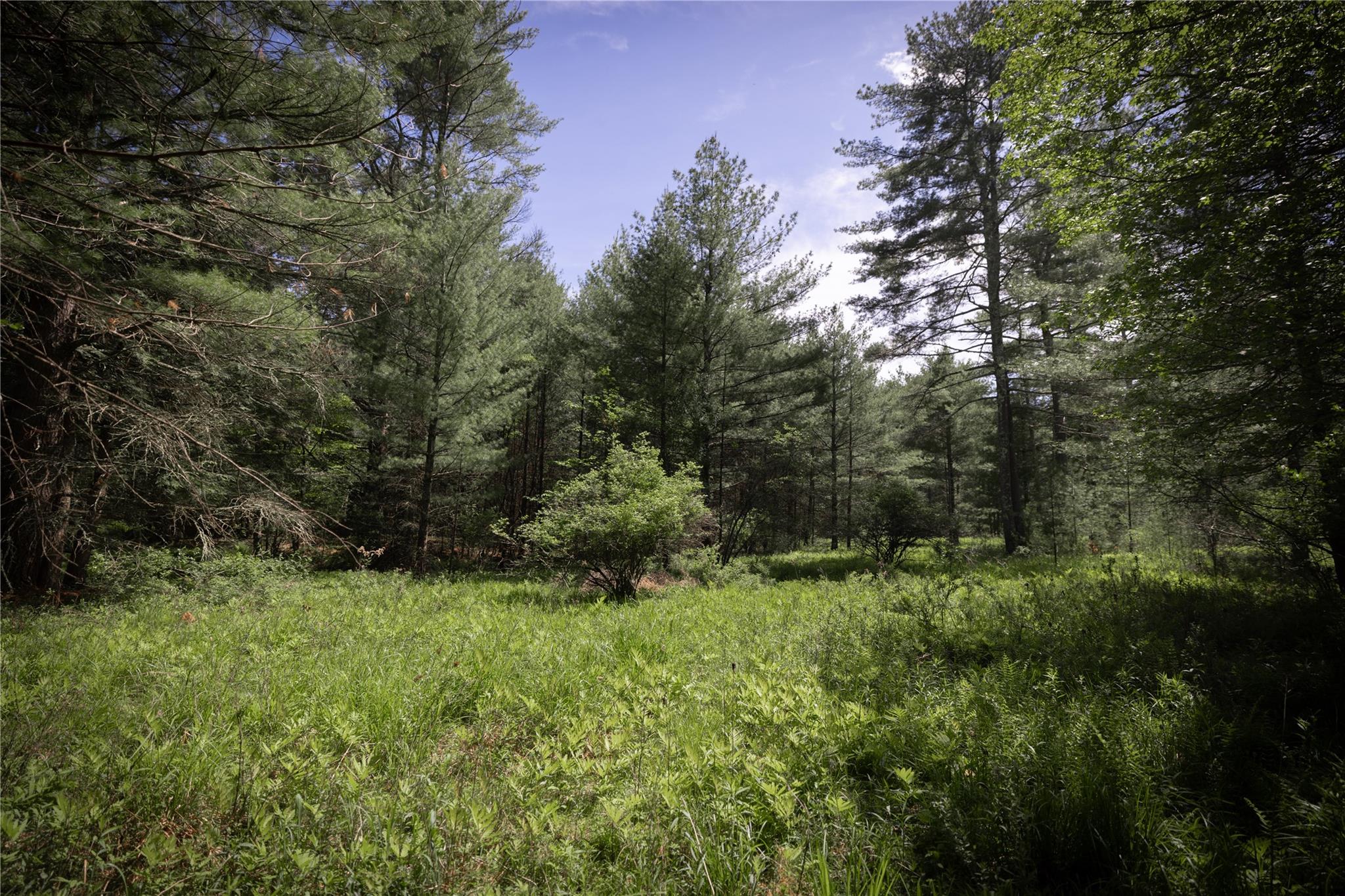 300 Mt Laurel Road Property Photo 9