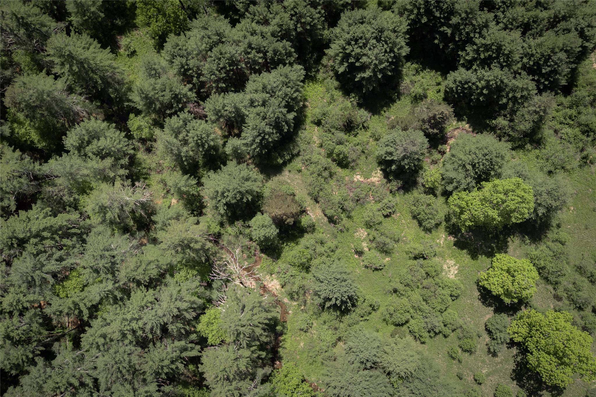 300 Mt Laurel Road Property Photo 10