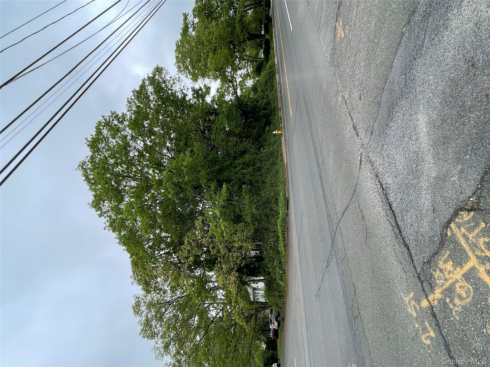 91 W Plum Street Property Photo 2