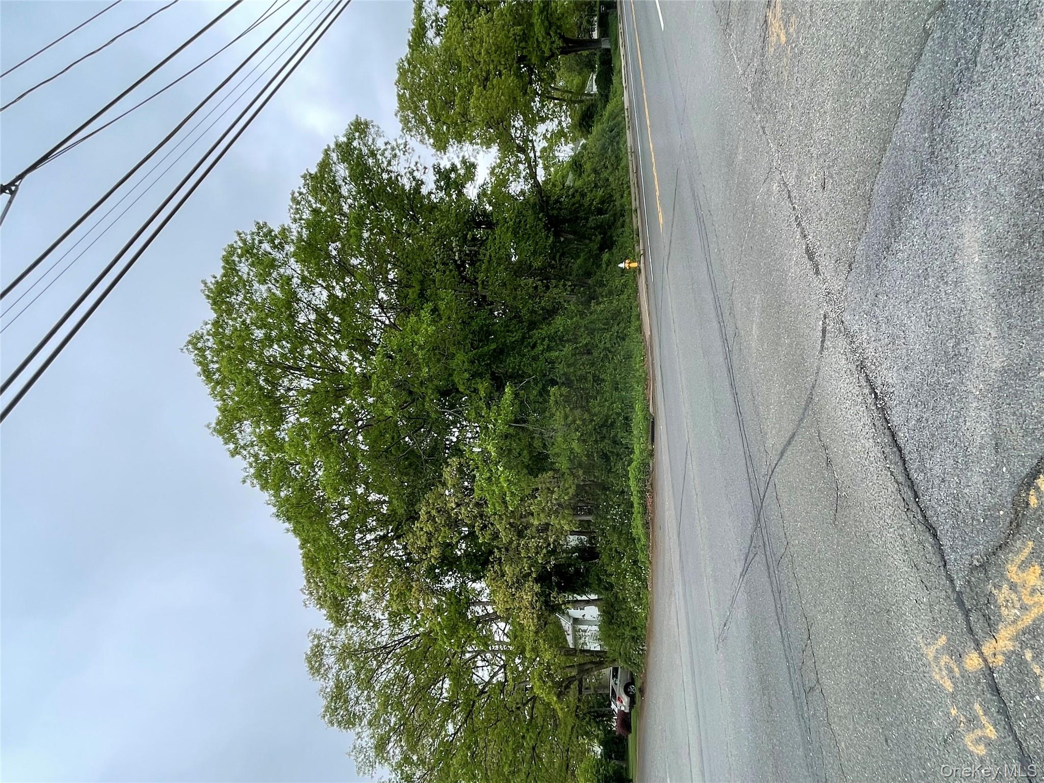 91 W Plum Street Property Photo 3