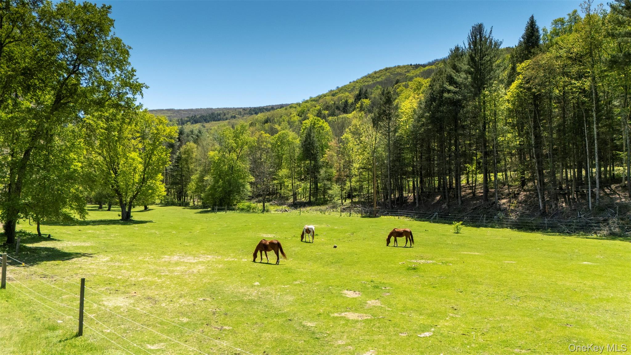 390 Erpf Road Property Photo 45