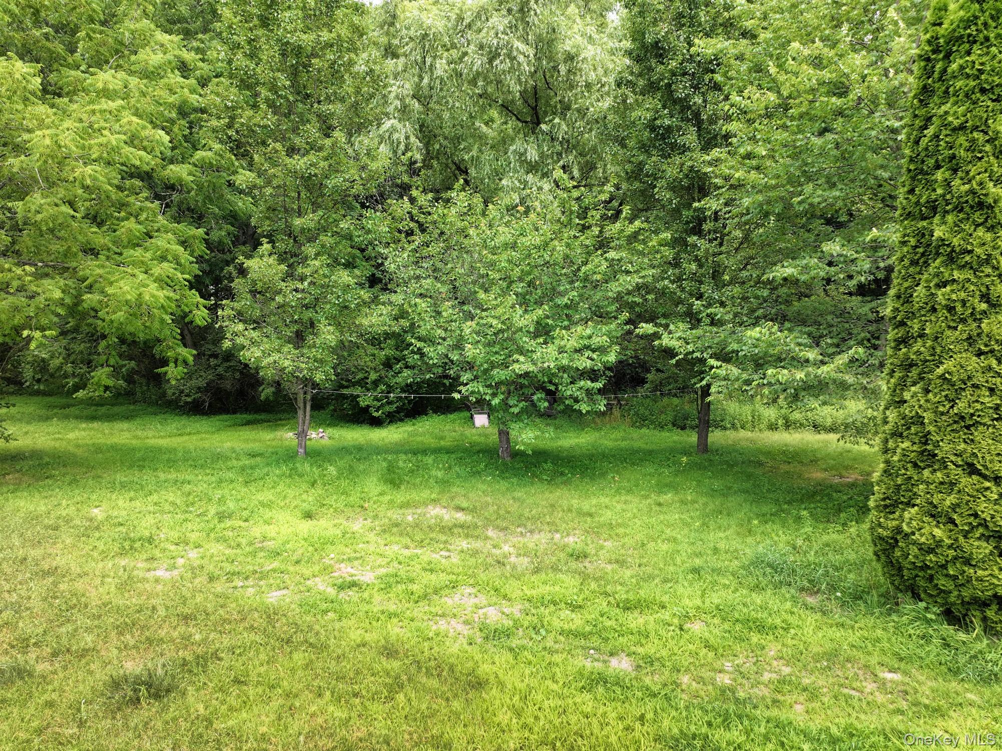 1753 State Route 209 Property Photo 50